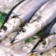 Autumn Sanma